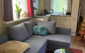 B En B Op Steendam, Tuinkamer Onder De Appelboom